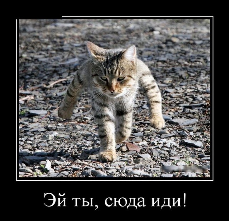 Иди Сюда Картинка